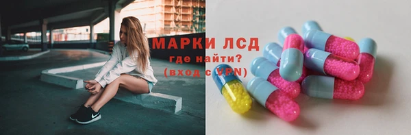 сатива Зерноград