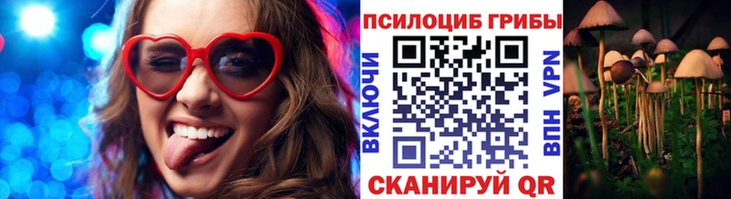 купить закладку  Соль-Илецк  Галлюциногенные грибы прущие грибы 