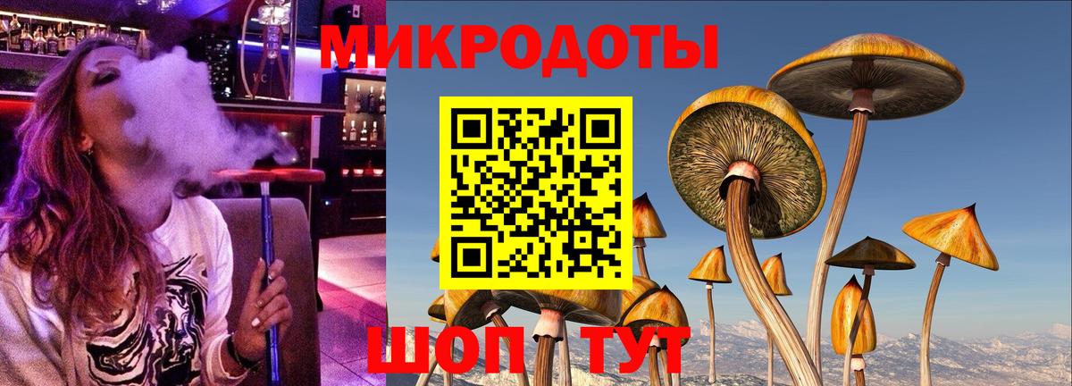Галлюциногенные грибы MAGIC MUSHROOMS  купить наркоту  Соль-Илецк  Вход с VPN 