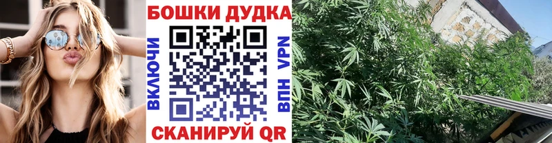 Канабис Amnesia  Соль-Илецк 